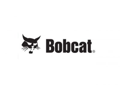 Bobcat